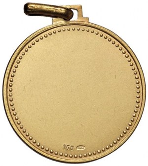 Italian Army Medal undated 17th Regiment Ar...