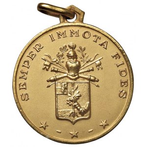 Medal Armii Włoskiej bez daty 84 Pułk Fa...