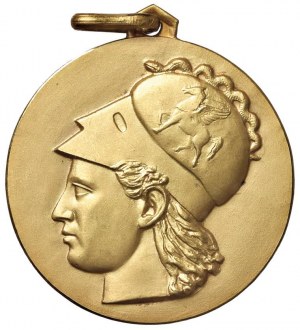 Republic Medal without date (placed 1950) Sele Group...