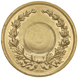 MILAN Medal award of the Academy of Fine Arts of ...