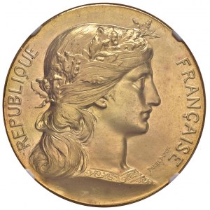 FRANCIE Republika Medaile 1895 Pamětní medaile k výročí...