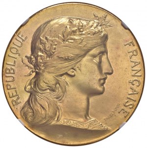 FRANCE Republic Medal 1895 Medal commemorating the...