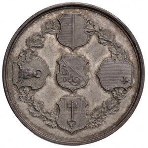SVIZZERA Zurigo Medaglia 1851 Anniversario dell'ingress...