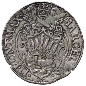 Marcello II (1555) Giulio - Munt. 5 AG (g 3,01) RR Frat...