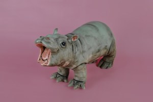 Katherine STACHURA (b. 1990), Pygmy hippopotamus, 2025