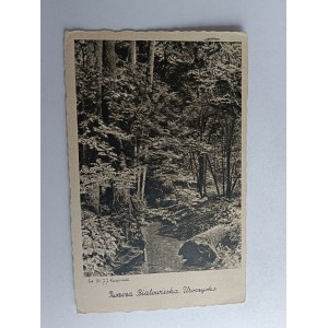 POCZTÓWKA PUSZCZA BIAŁOWIESKA, BIAŁOWIEŻA, UROCZYSKO, FOT KARPIŃSKI, ZNACZEK, STEMPEL, 1938 R