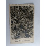 POSTCARD BELOVEZHSKAYA PUSZCZA, BIAŁOWIEŻA, UROCZYSKO, FOT KARPIŃSKI, STAMP, STAMP, 1938
