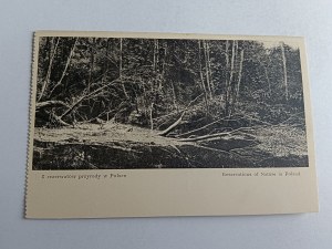 POSTCARD MOSTY WIELKIE BEAVER LODGE RESERVE, STATE COUNCIL FOR NATURE PROTECTION KRAKOW LUBICZ, FROM NATURE RESERVES IN POLAND
