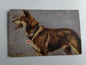 POSTCARD DOG RESCUE 1915, STAMP, STAMP, RED CROSS