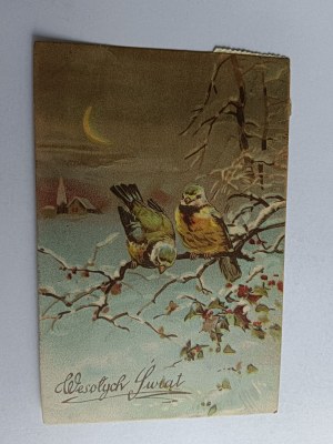 CARTE POSTALE DE NOËL OISEAUX HIVER