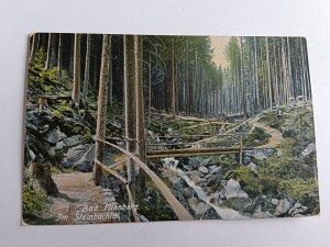POSTCARD ŚWIERADÓW ZDRÓJ BAD FLINSBERG