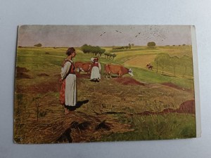 POSTCARD PAINTING POLAND, TETMAJER, COWS, VILLAGE