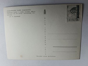 POSTCARD PRL BIALOWIEZA BELOVEZHSKAYA PUSZCZA BIAŁOWIESKA BISON, STAMP