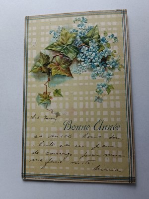 COMMEMORATIVE EMBOSSED POSTCARD ART FLOWERS LEAVES 1905