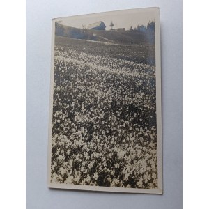 POCZTÓWKA MARIAZELL 1924 R