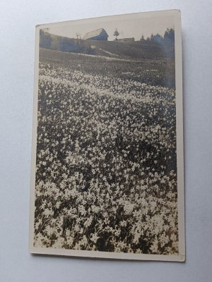 POSTCARD MARIAZELL 1924