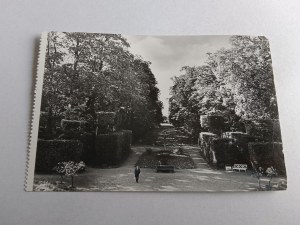 POSTCARD NIEBORÓW PALACE PARK