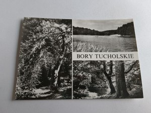 POHLEDNICE BORY TUCHOLSKIE TISOVÁ REZERVACE