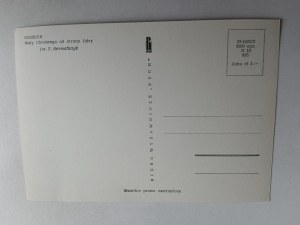 CARTE POSTALE SZCZECIN WAŁY CHROBREGO