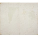 Mappa Geographica ex novissimis observationibus repraesentans Regnum Poloniae et Magnum Ducatum Lithuaniae