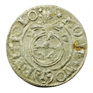 Zygmunt III Waza, Półtorak 1622, Bydgoszcz (210)