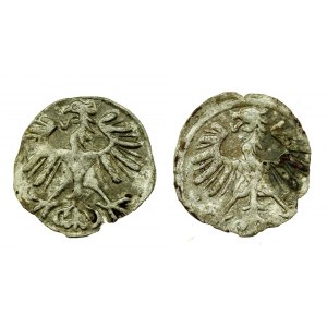 Zygmunt II August, zestaw 2 x Denar 1554 i 1555, Wilno (213)