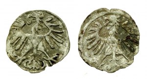 Sigismund II Augustus, set of 2 x Denar 1554 and 1555, Vilnius (213)
