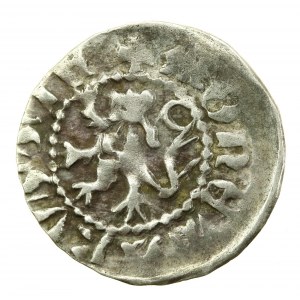 Władysław II Jagiełło, Kwartnik ruski bez daty, Lwów (229)