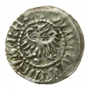 Władysław II Jagiełło, Kwartnik ruski bez daty, Lwów (229)