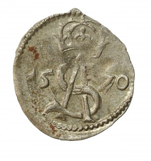 Sigismund II Augustus, Dwudenar 1570, Vilnius. Platina. Rare (301)