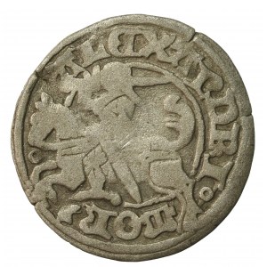Alexander Jagiellonian, Half-penny, Vilnius-Gothic (302)