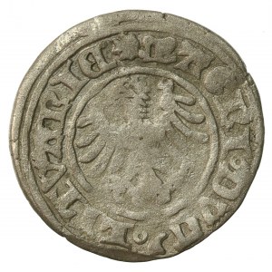 Alexander Jagiellonian, Half-penny, Vilnius-Gothic (302)