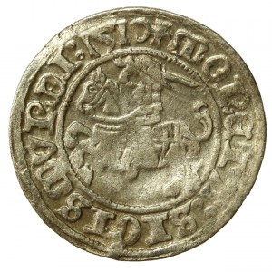 Zygmunt I Stary, Półgrosz 1510, Wilno, 4 kropki na rew. (515)