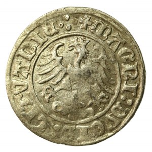 Zygmunt I Stary, Półgrosz 1510, Wilno, 4 kropki na rew. (515)
