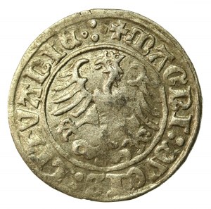 Sigismund I the Old, Half-penny 1510, Vilnius, 4 dots on rev. (515)