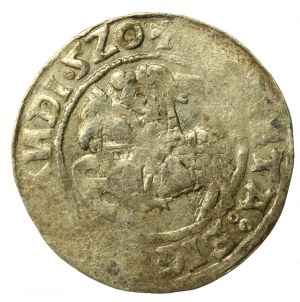 Sigismund I the Old, Half-penny 1520, Vilnius - abbreviated date 520 (517)
