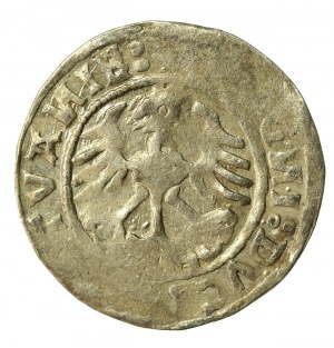 Sigismund I the Old, Half-penny 1520, Vilnius - abbreviated date 520 (517)