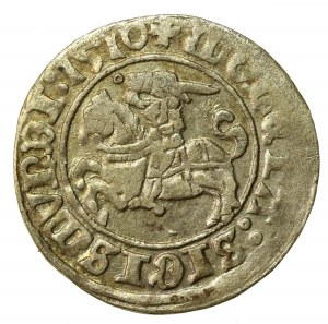 Zymunt I the Old, Half-penny 1510, Vilnius (518)