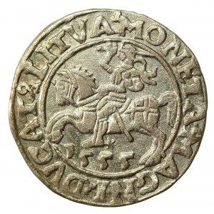 Zygmunt II August, Półgrosz 1555 Wilno, LI/LITVA. A bez belki na rew. (521)