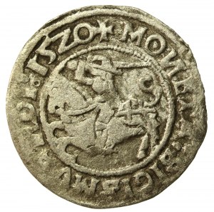 Sigismund I the Old, Half-penny 1520, Vilnius, SIGISMVANDI - reversed N (522)