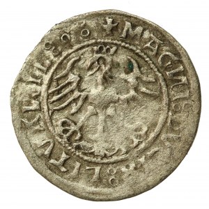 Zygmunt I Stary, Półgrosz 1520, Wilno, SIGISMVANDI - odwrócone N (522)