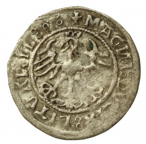 Sigismund I the Old, Half-penny 1520, Vilnius, SIGISMVANDI - reversed N (522)