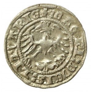 Sigismund I the Old, Half-penny 1513, Vilnius (524)