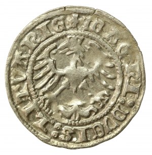 Sigismund I the Old, Half-penny 1513, Vilnius (524)