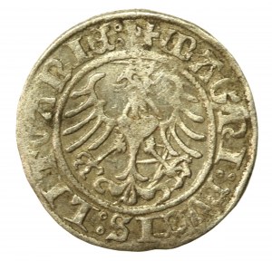 Sigismund I the Old, Half-penny 1509, Vilnius (525)