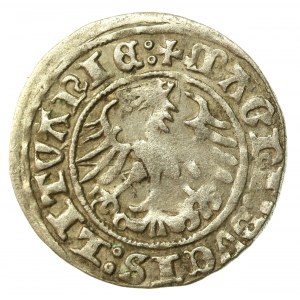 Zygmunt I Stary, Półgrosz 1511, Wilno (526)