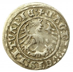 Sigismund I the Old, Half-penny 1511, Vilnius (526)