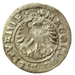 Zygmunt I Stary, Półgrosz 1519, Wilno. Awers 5 kropek (527)