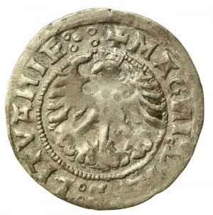 Sigismund I the Old, Half-penny 1519, Vilnius. Obverse 5 dots (527)
