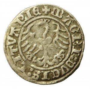 Zygmunt I Stary, Półgrosz 1513, Wilno (528)